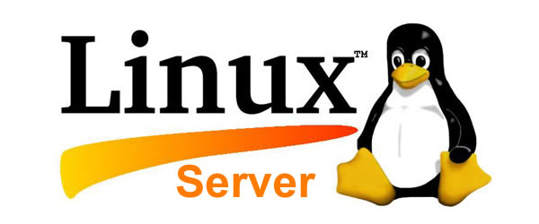 Serveur Linux